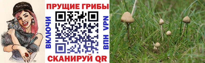 закладки  Лихославль  Псилоцибиновые грибы ЛСД 