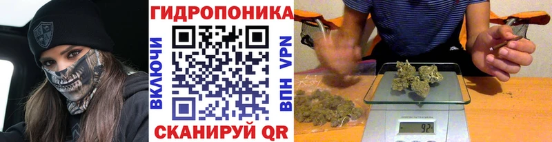 Бошки Шишки LSD WEED  Лихославль 